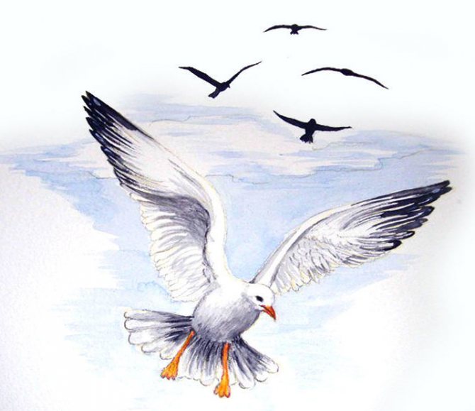 Esquisse d'un tatouage de mouette