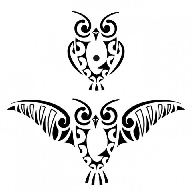 Croquis d'un tatouage de jambe de hibou