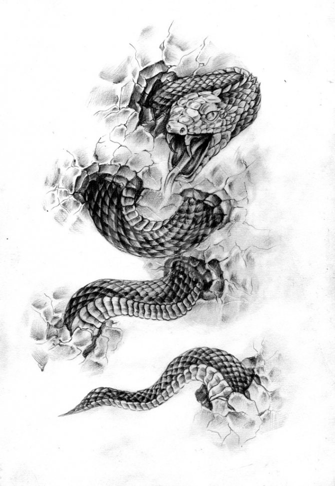 Esquisse d'un tatouage de jambe de serpent