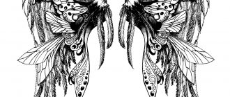 Croquis d'un tatouage masculin avec des ailes