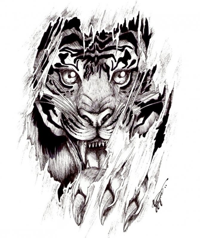 Croquis d'un tatouage avec un tigre