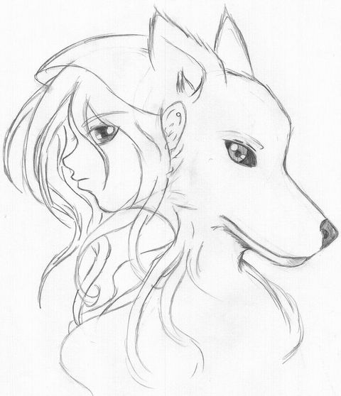 croquis