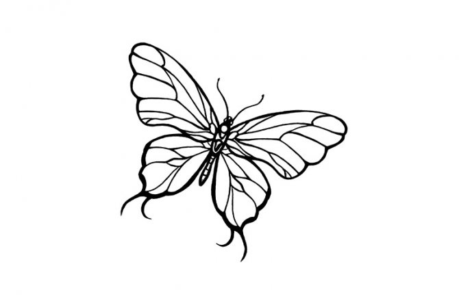 Sketch