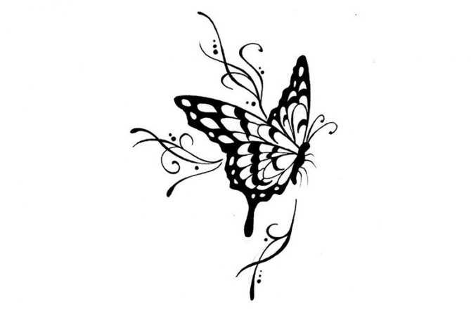 Sketch