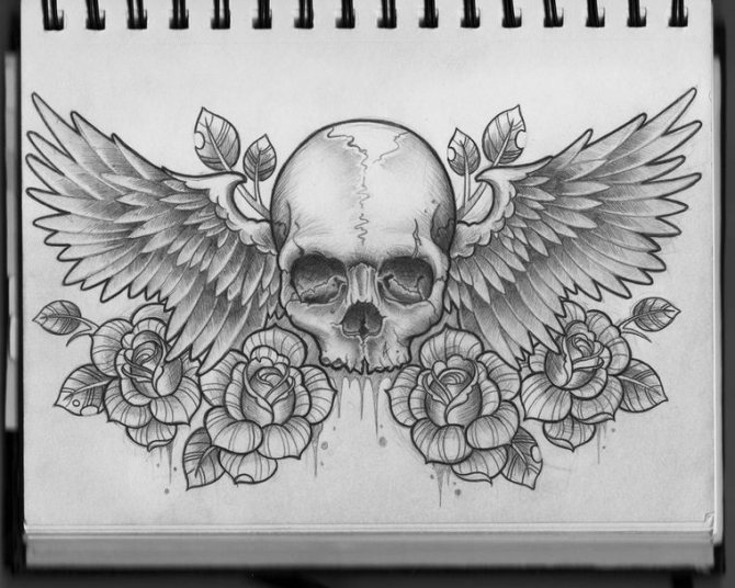 croquis