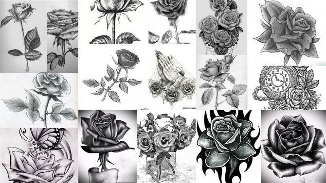 Croquis de tatouage de la rose noire