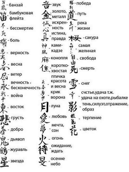 Esquisses de mini-tatou sous forme de hiéroglyphes