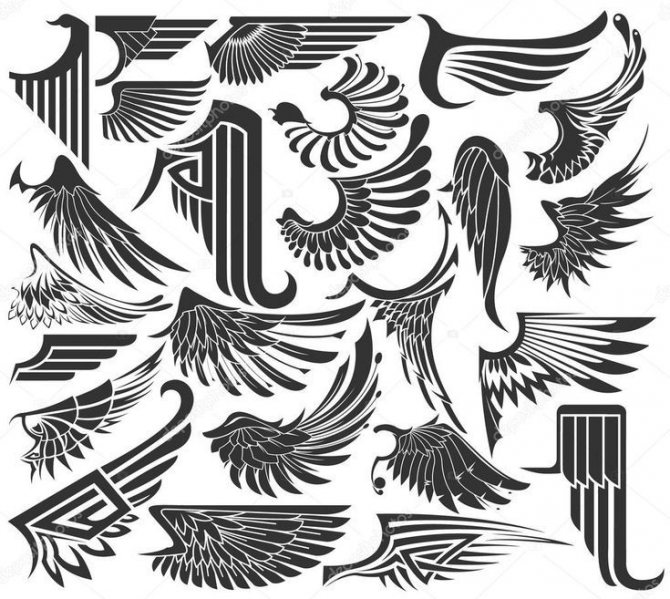 Les esquisses de tatouages d'ailes s'intègrent parfaitement sur l'avant-bras