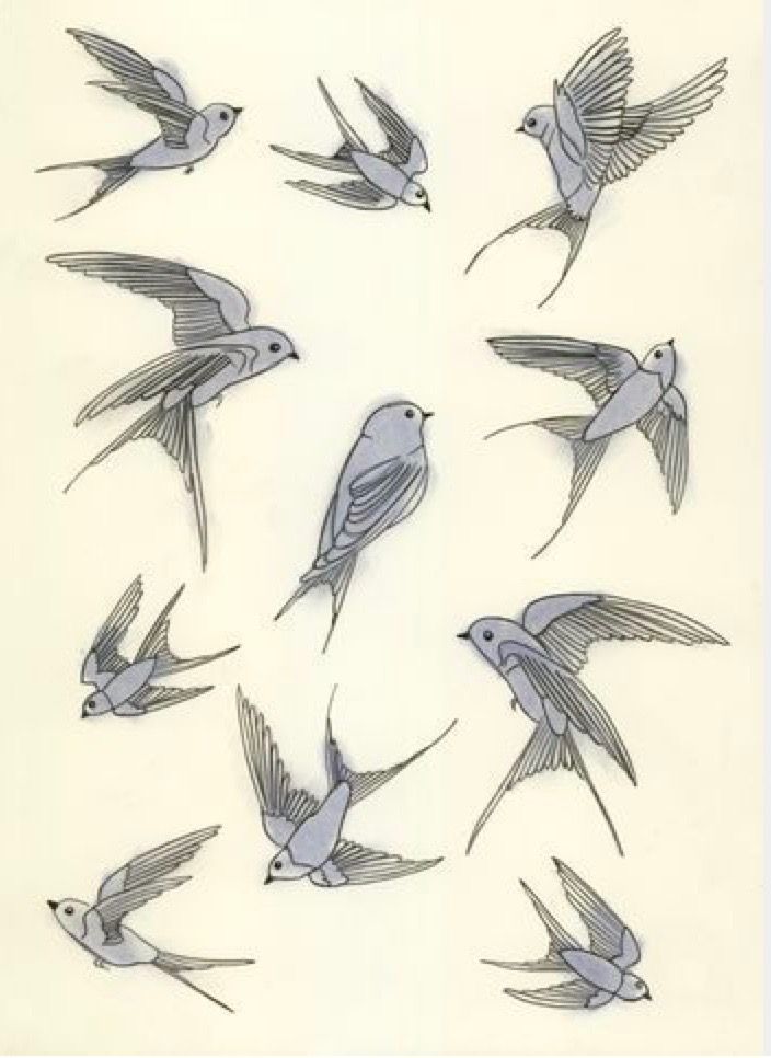 Esquisses de tatouages en forme d'hirondelles