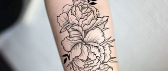 Esquisses de tatouage de contour