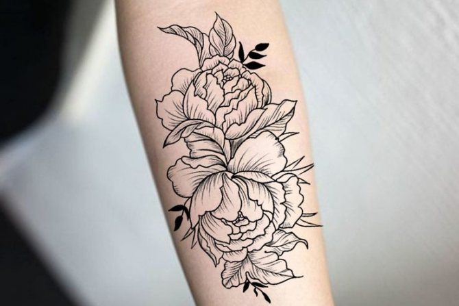 Esquisses de tatouage
