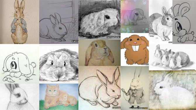 croquis de tatouage de lapin