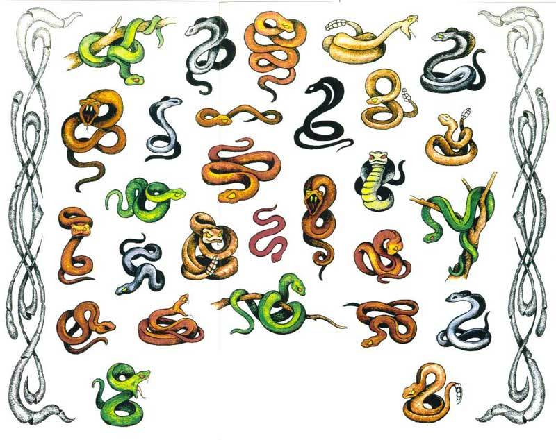 Croquis de serpents colorés