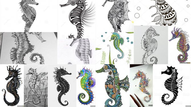 croquis de tatouage d'avion