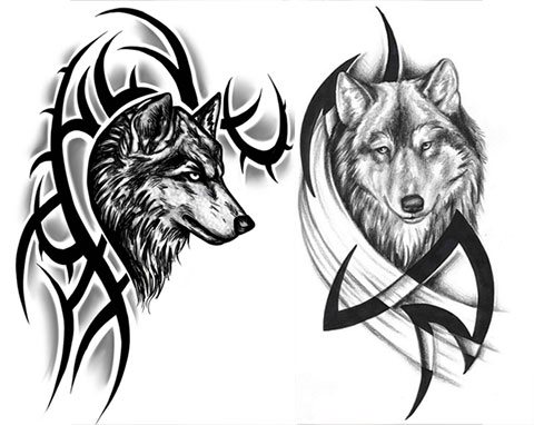 Esquisses pour un tatouage de loup sur l'épaule