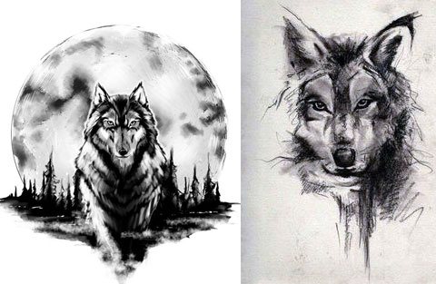 Esquisses pour un tatouage de loup sur les épaules