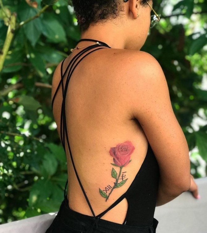 Croquis de côtes tatouées
