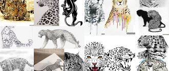 Motifs de tatouage de jaguar