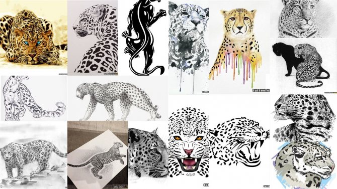Croquis de tatouage Jaguar