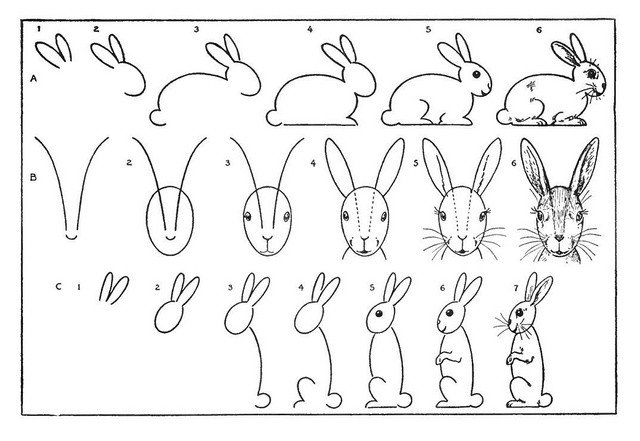 croquis d'un lièvre