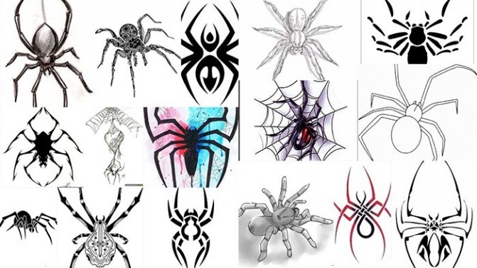 Sketches