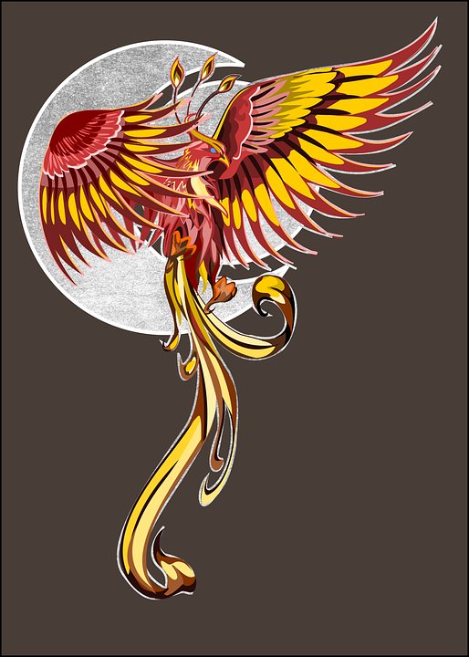 Phoenix, Divin, Animaux, Spiritualité