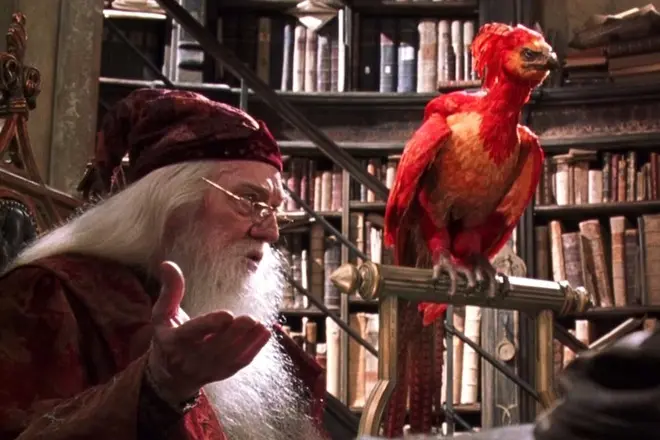 le phénix dans un film d'Harry Potter