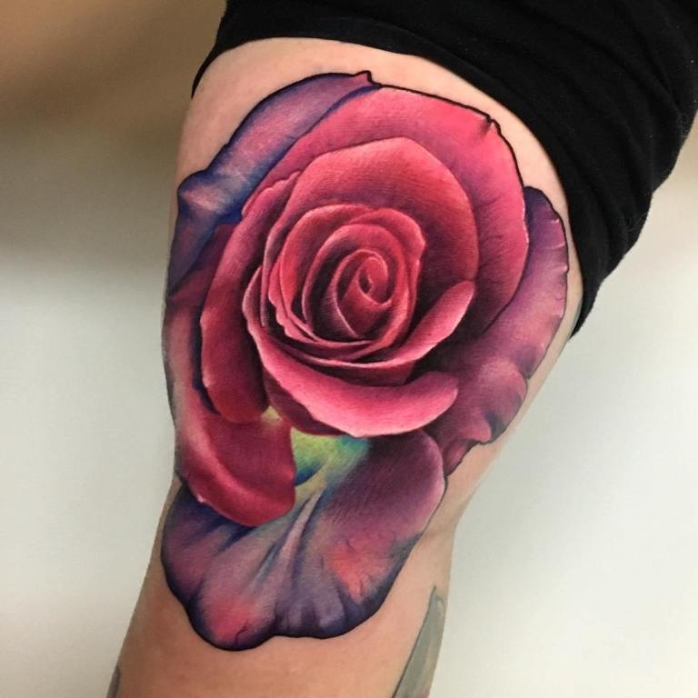 Rose pourpre
