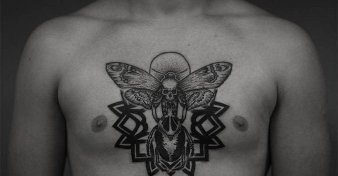 Photo 4