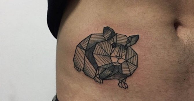Photo 71