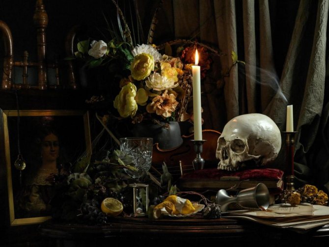 Photo nature morte avec crâne