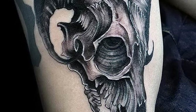 Photo tête de chèvre tatouée 28.07.2019 #004 - tête de chèvre tatouée - tattoo-photo.ru