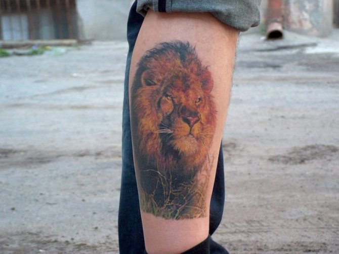 Photo tatouage sur les jambes
