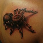 photo tatouage araignée-11