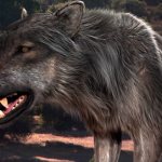 Photo : Terrible loup