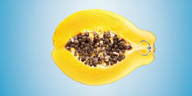 fruit avec perçage