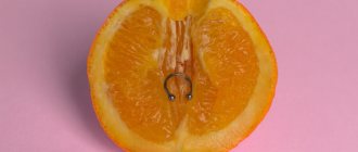 fruit avec perçage