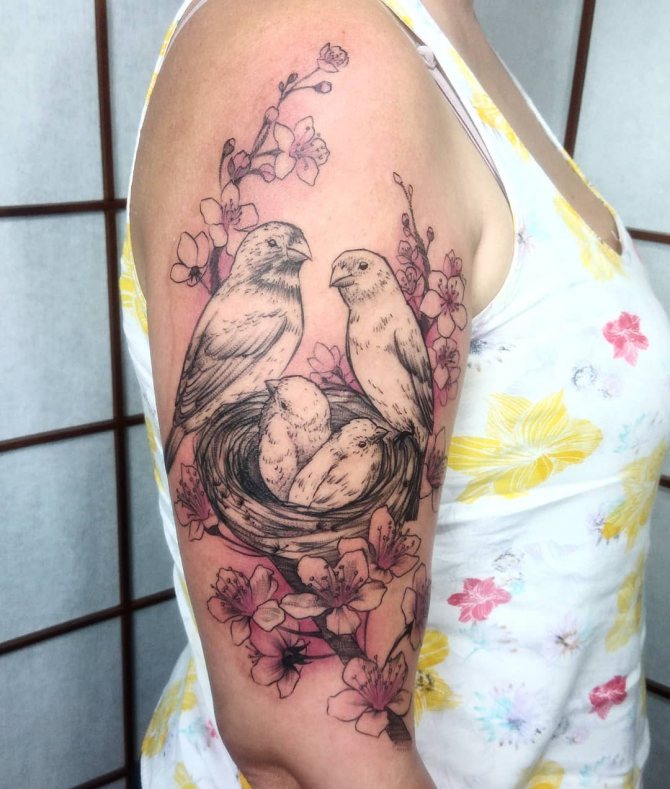 Nid d'oiseaux sur une branche avec des fleurs