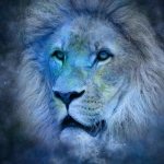 Tête de lion
