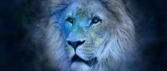 Tête de lion