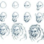 Dessin au crayon de la tête d'un lion, étape par étape. Couleur, noir et blanc pour les enfants