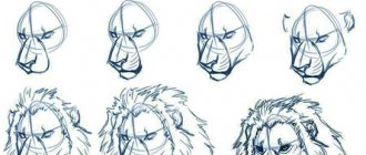 Dessin au crayon d'une tête de lion. Couleur, noir et blanc pour les enfants