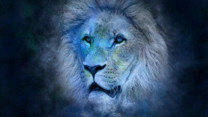 Tête de lion
