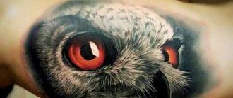 tête d'oiseau