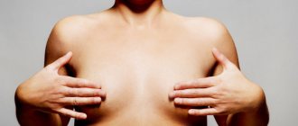 seins