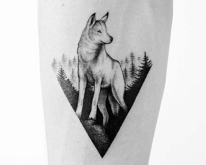 Husky dans le fond de la forêt
