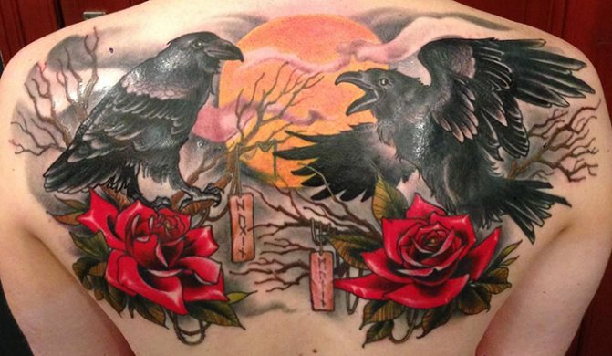 Tatouage Hugin et Munin. Signification, croquis sur le dos, l'épaule, le cou, le bras