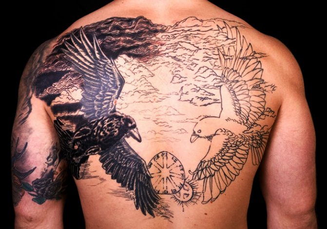 Tatouage Hugin et Munin. Signification, esquisses sur le dos, l'épaule, le cou, le bras