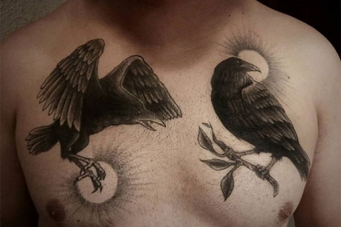 Hugin et Munin