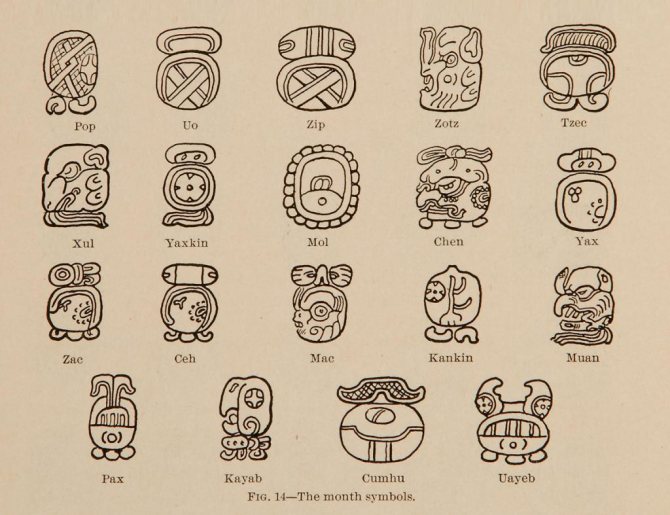dessin de hiéroglyphes maya